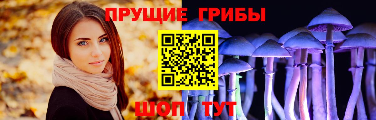 Галлюциногенные грибы Magic Shrooms Щёлково